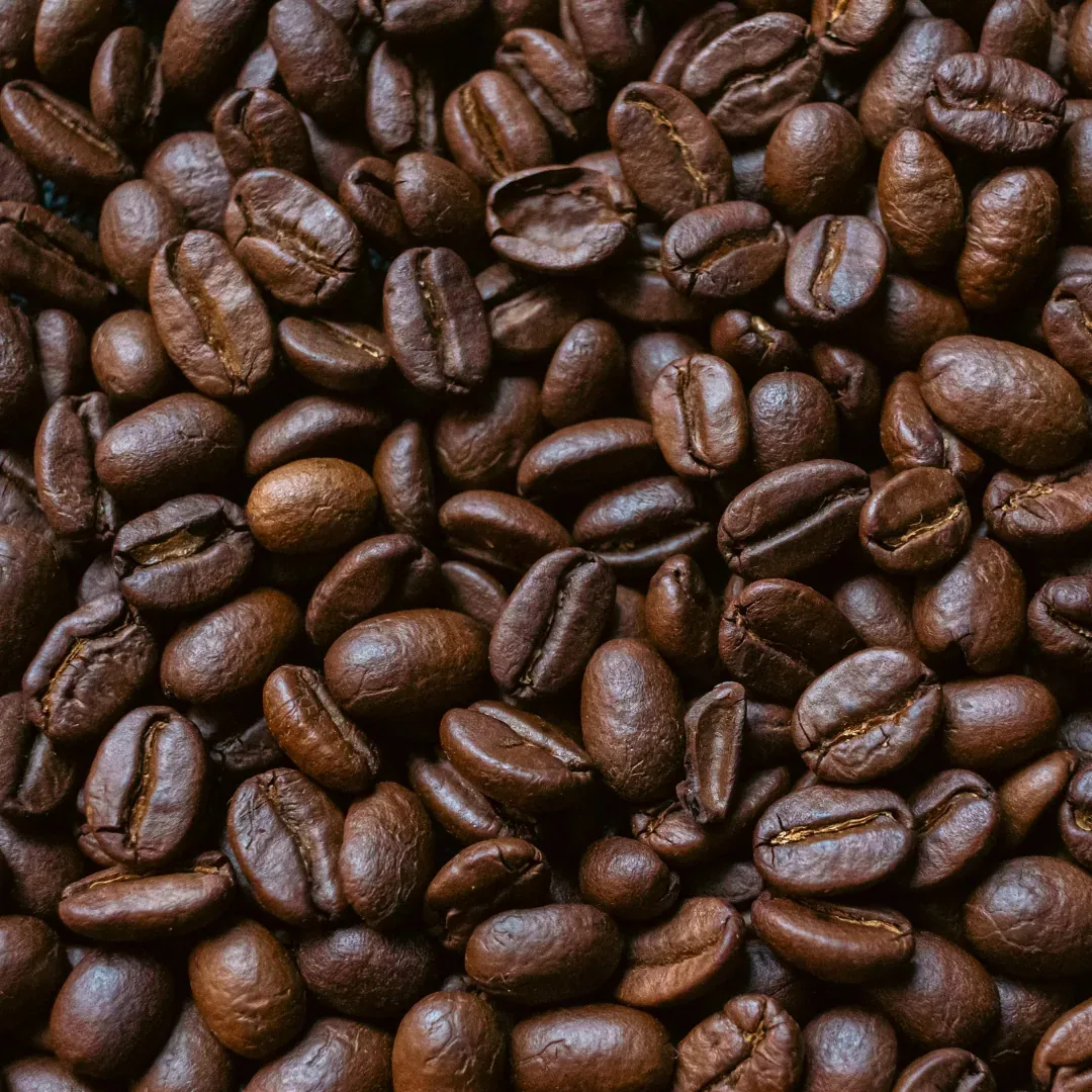 Roasted coffee beans