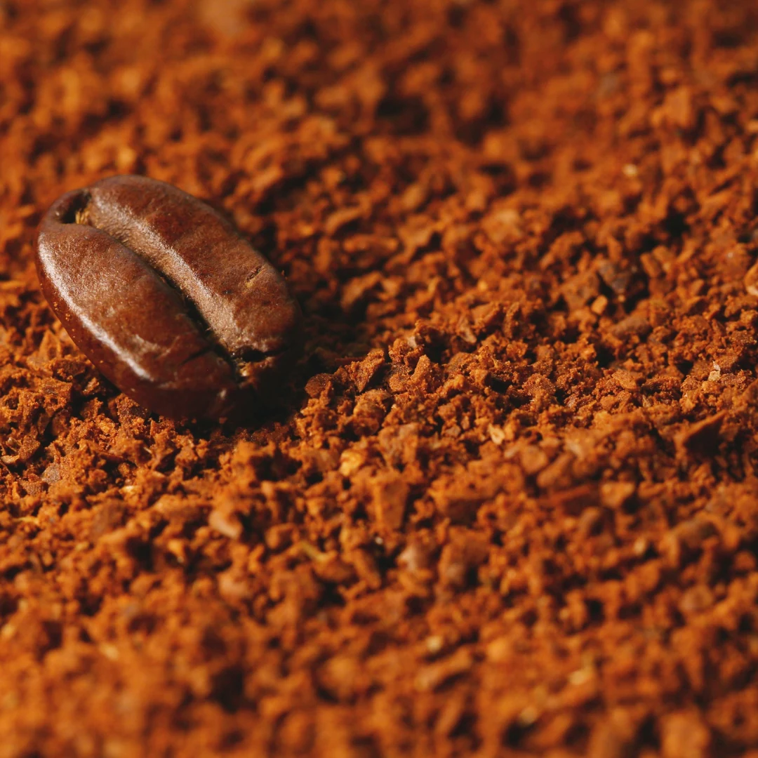 Macro close-up of roasted coffee bean on ground coffee